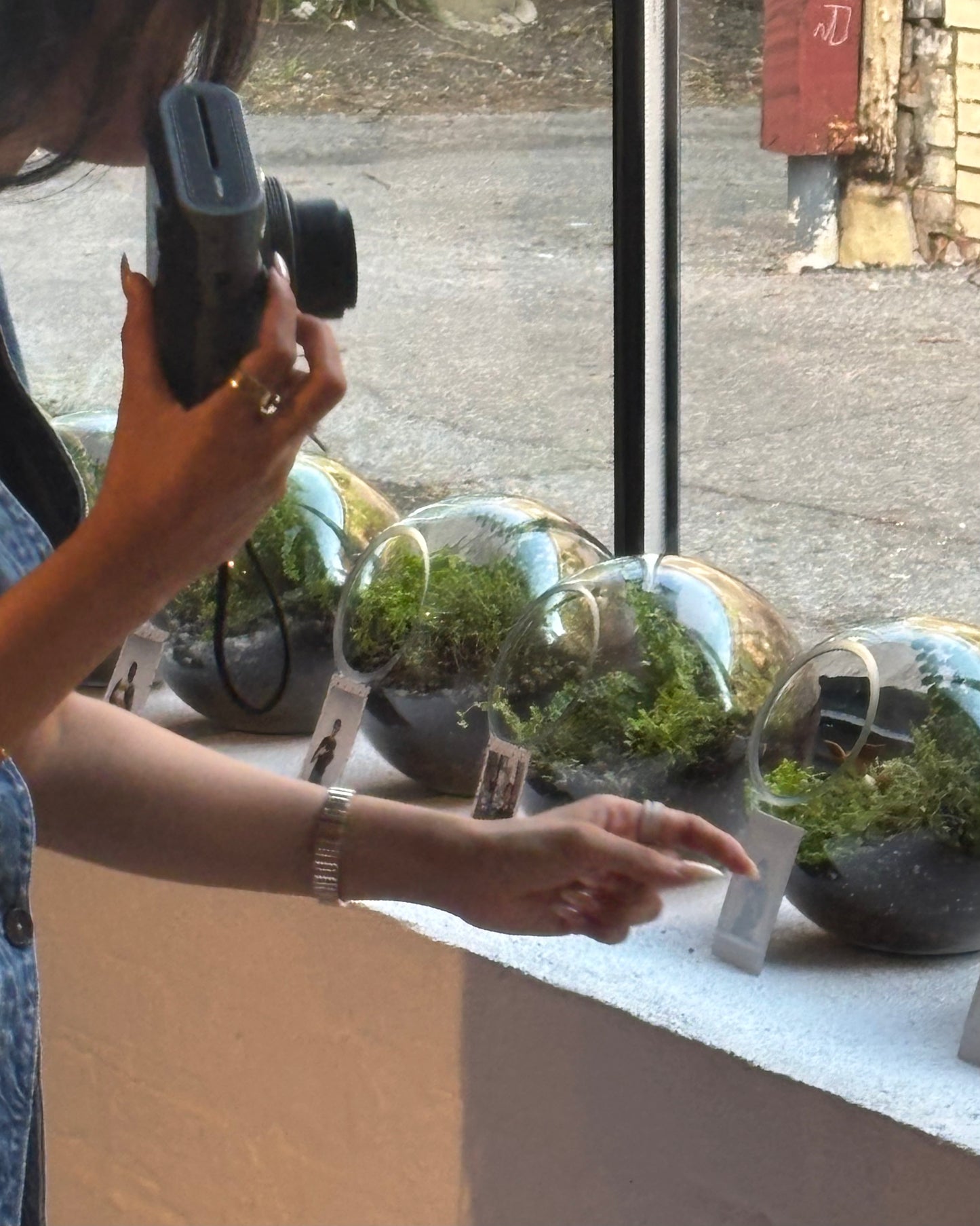 Woodland Terrarium Workshop - Tickets