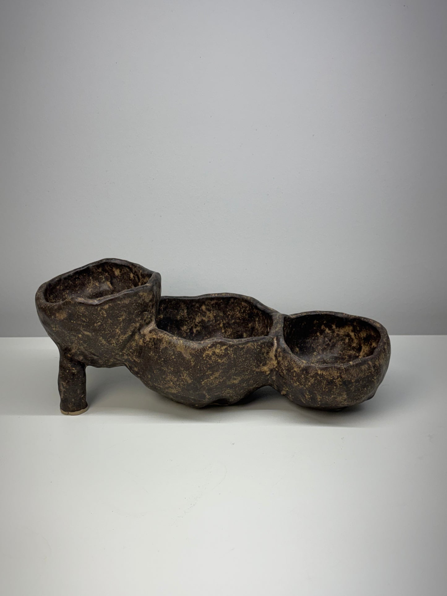 Bog Pot 08 - Leggy