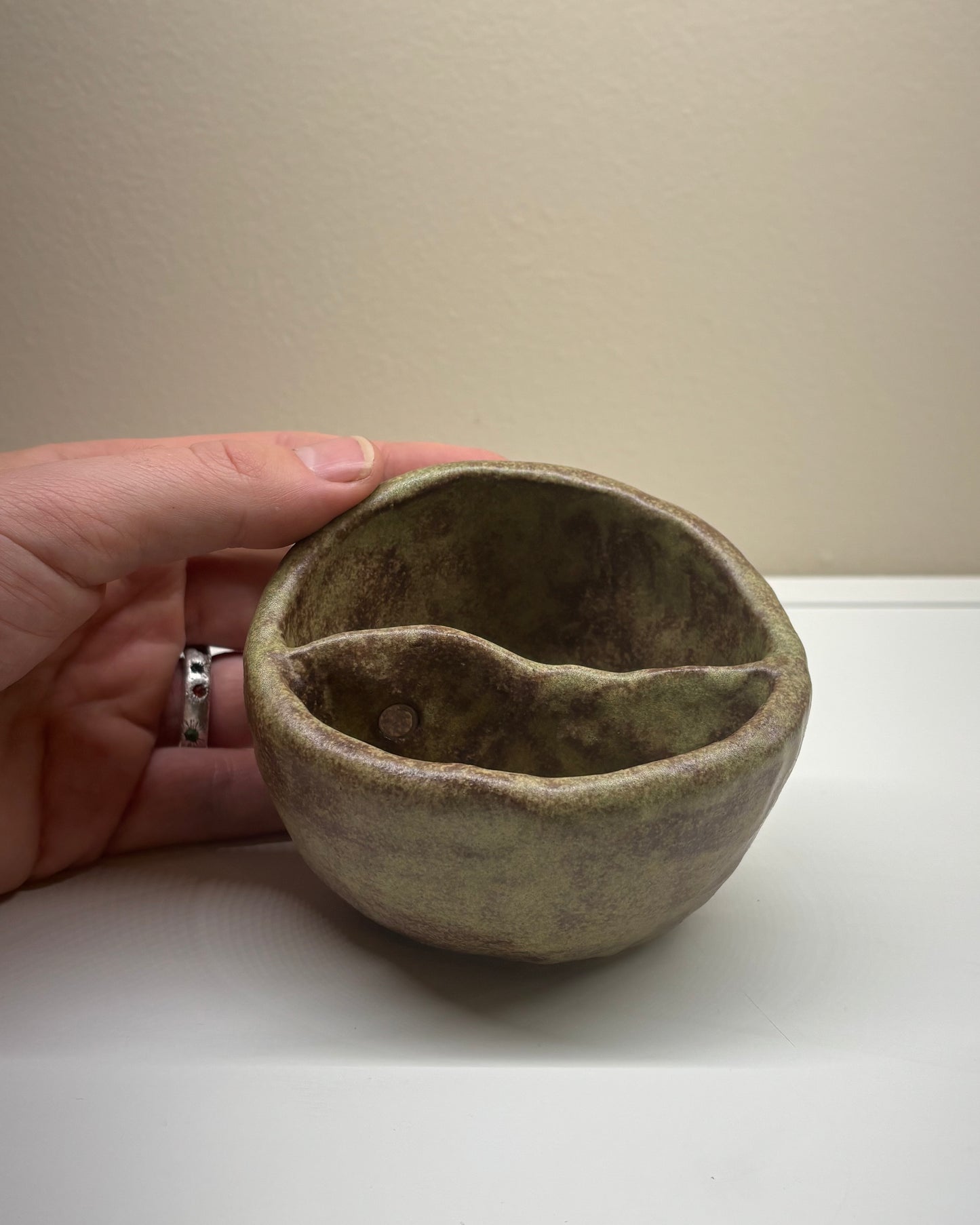 Bog Pot 17 - Little Mossy Slope