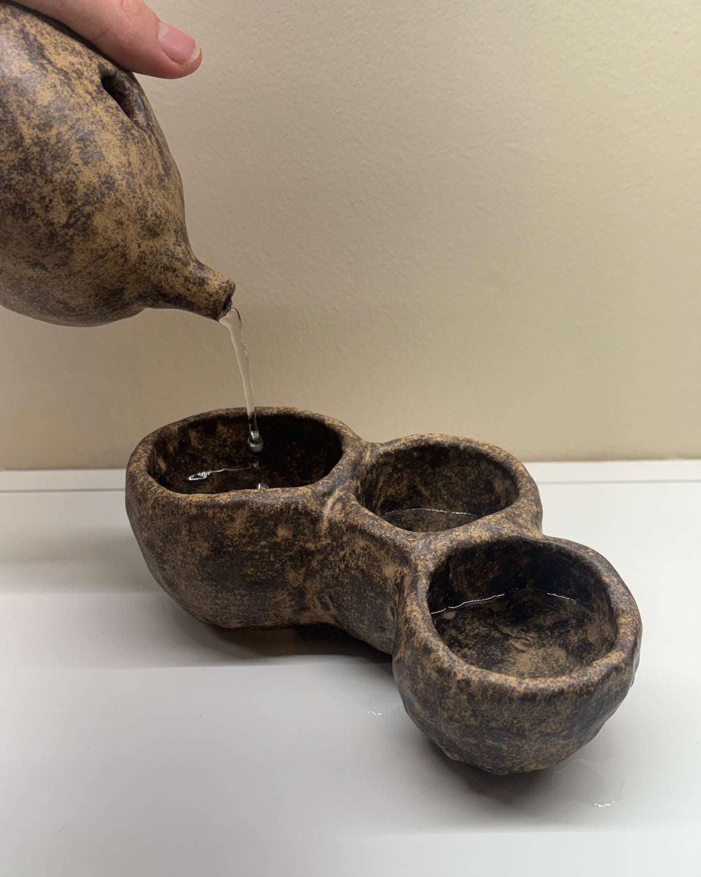Bog Pot 12 - Cluster