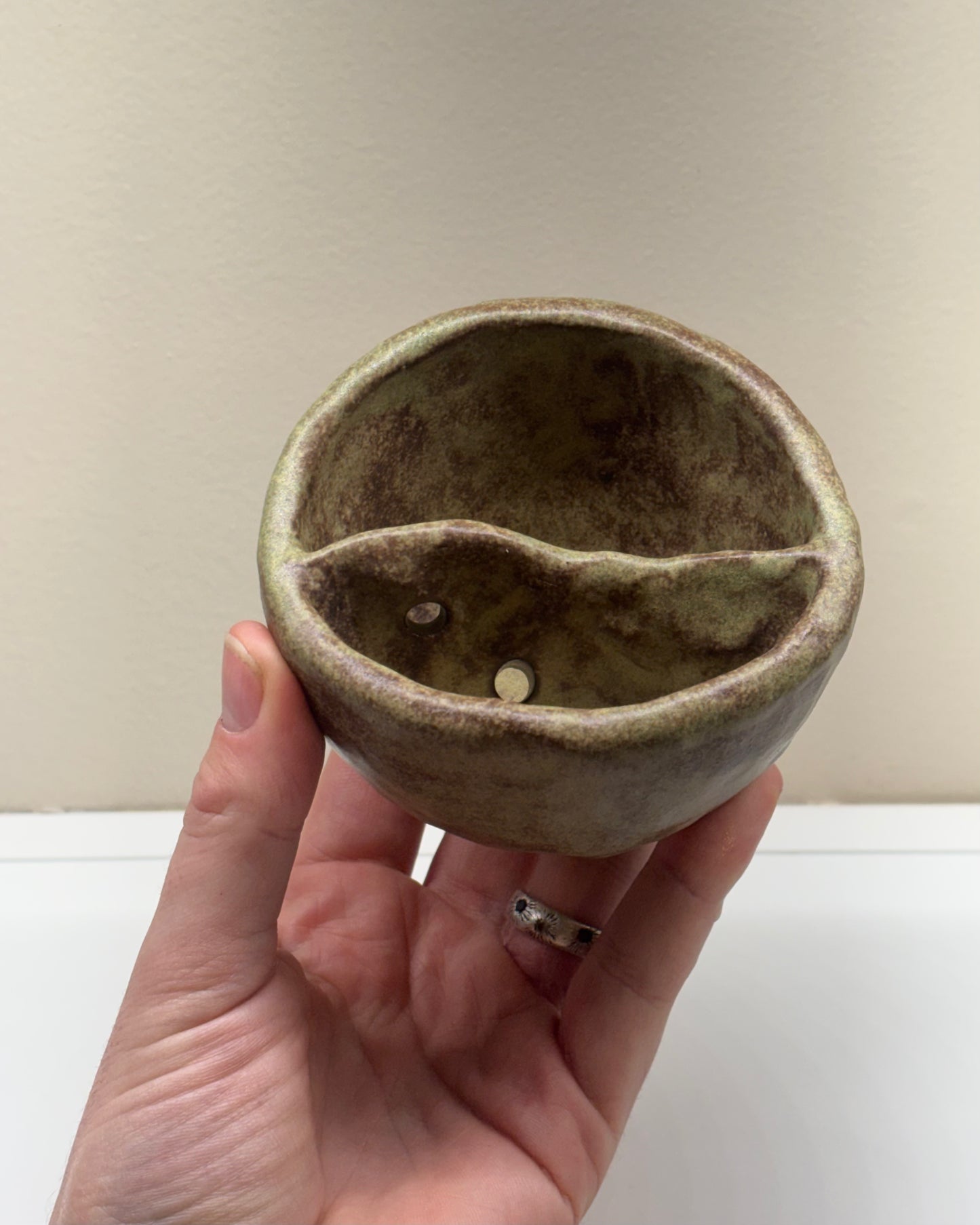 Bog Pot 17 - Little Mossy Slope
