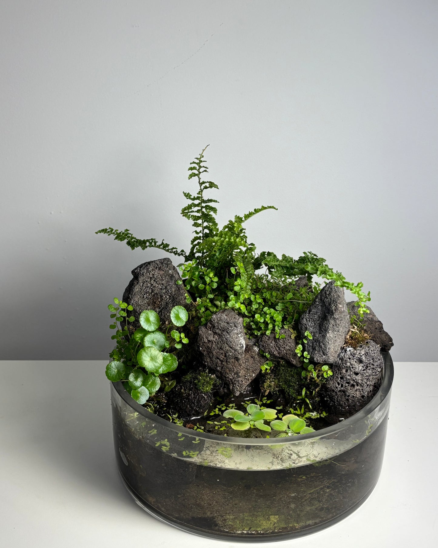 Water Gardens Workshop - Tickets