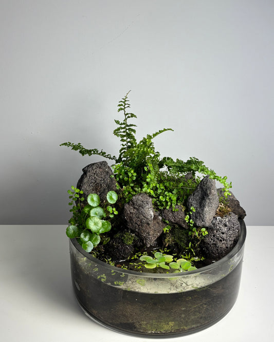 Water Gardens Workshop - Tickets