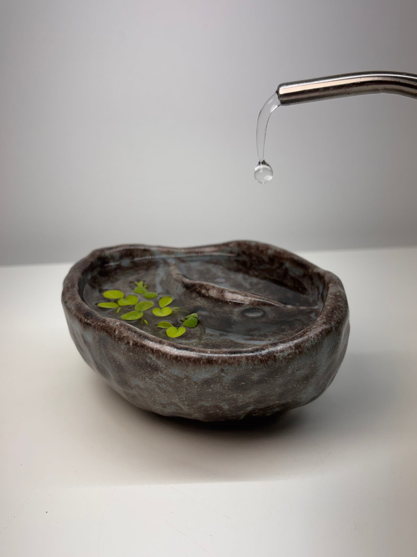 Bog Pot 01 - Grey Pebble