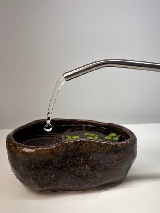 Bog Pot 02 - Brown Pebble