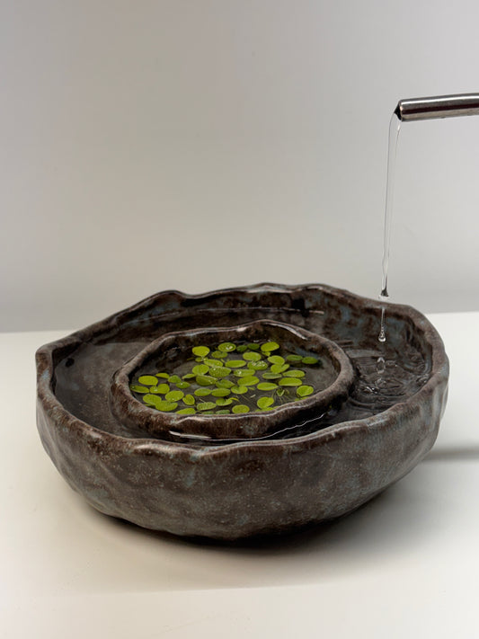 Bog Pot 04 - Grey Island