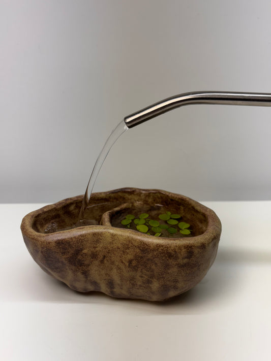 Bog Pot 07 - Mossy Pebble