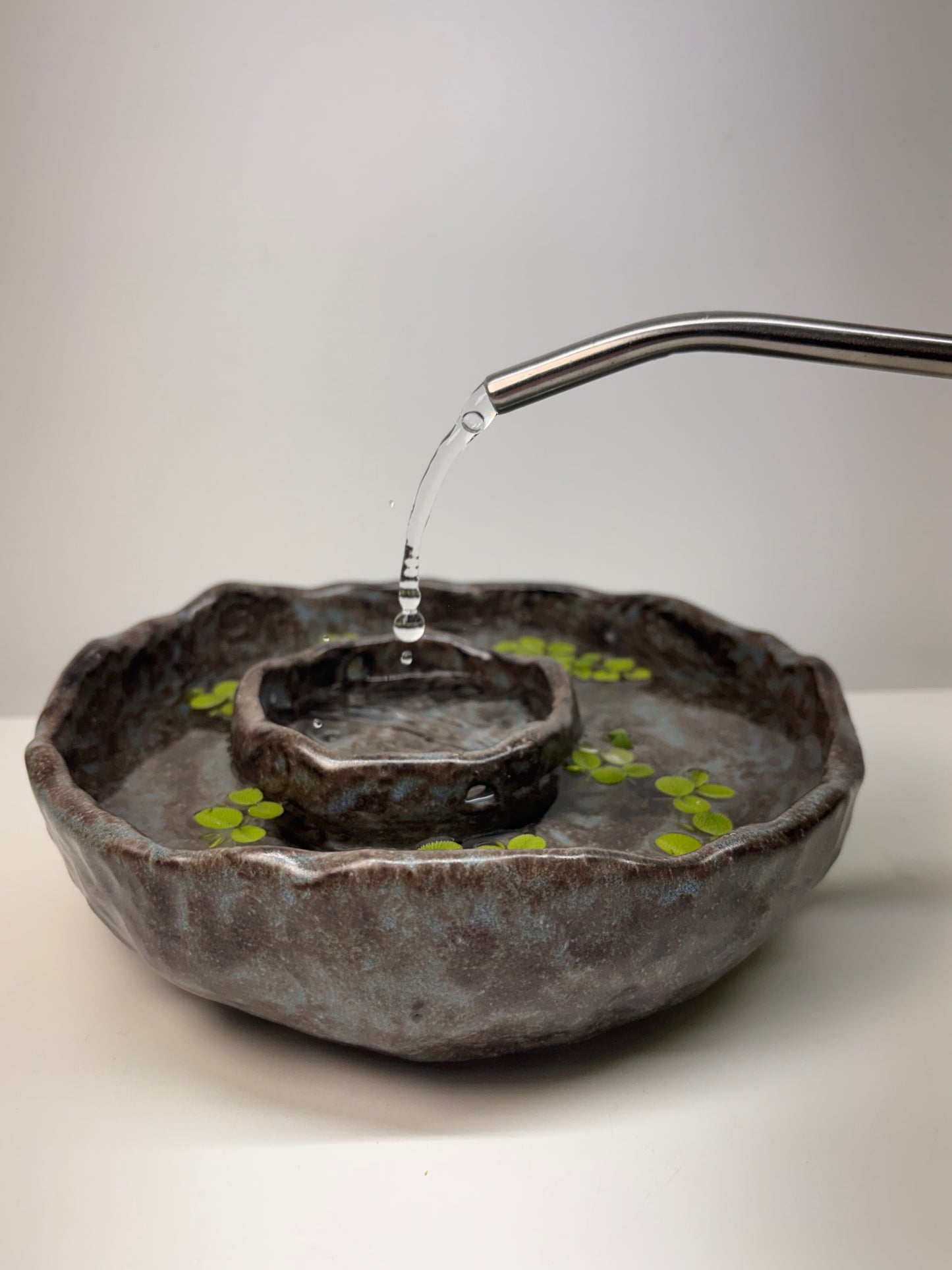 Bog Pot 08 - Grey Island