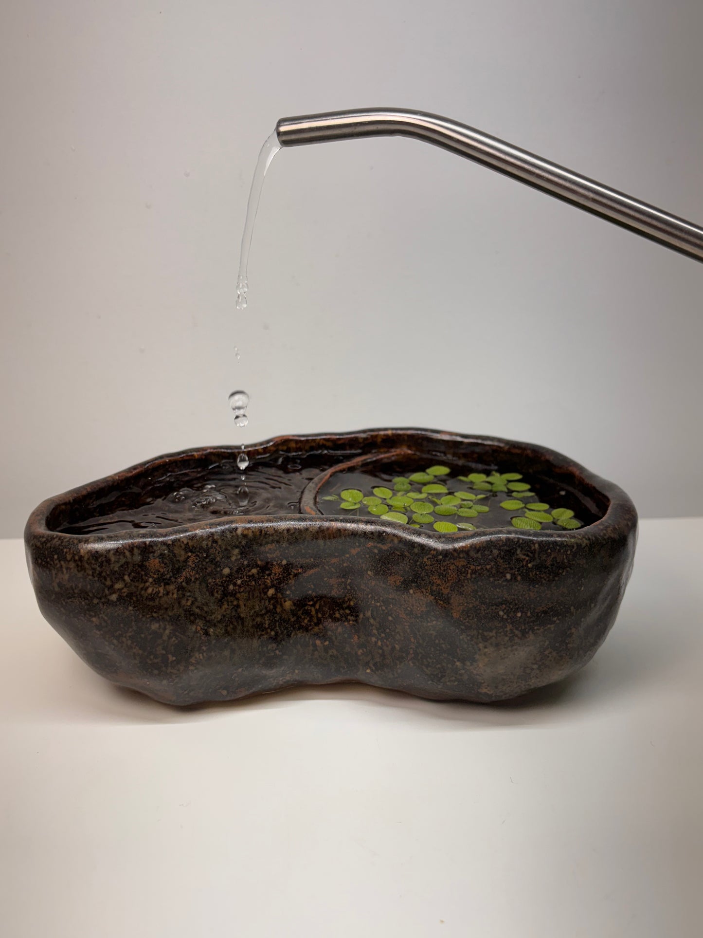 Bog Pot 09 - Brown Pebble