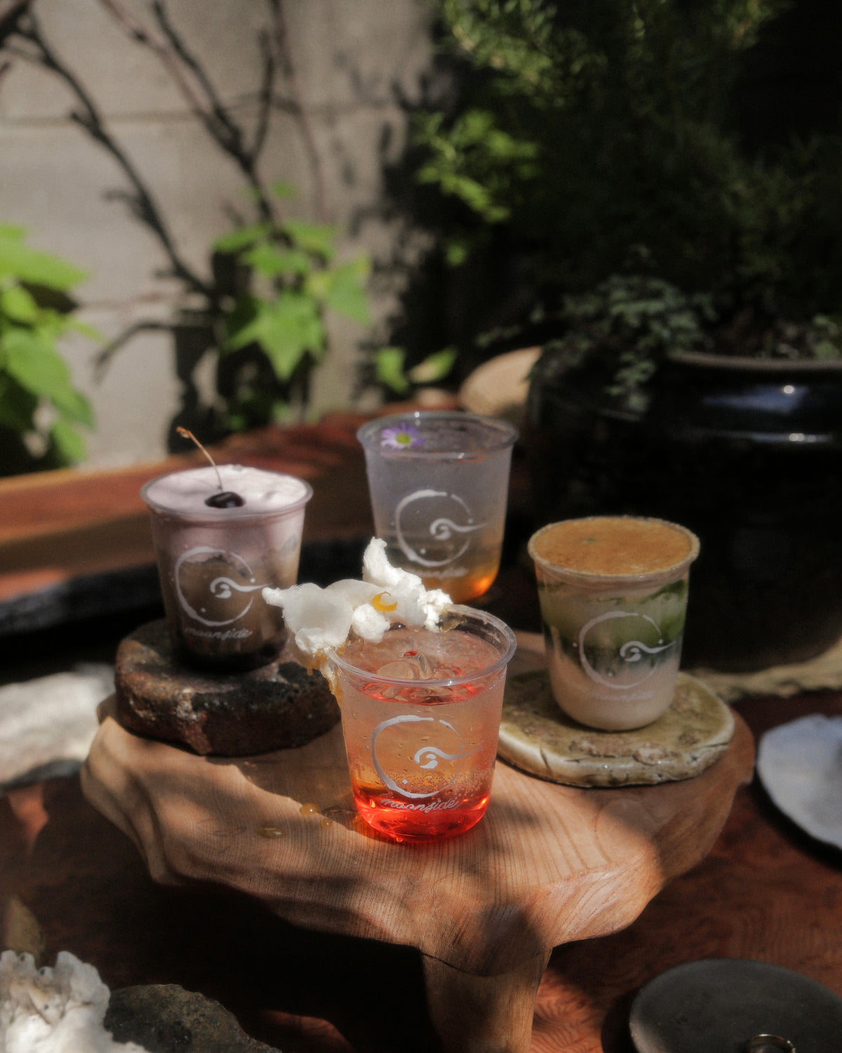 Planted Pendants Workshop - Tickets
