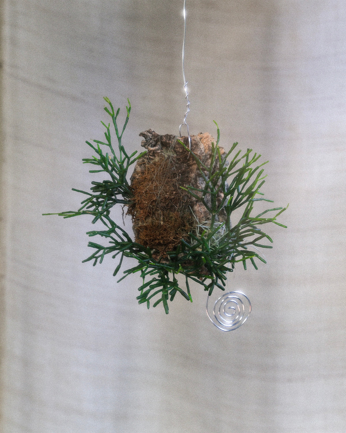 Planted Pendants Workshop - Tickets
