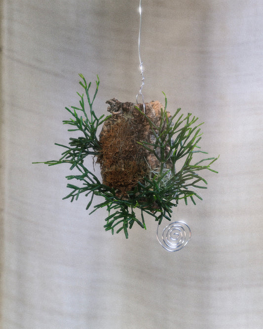 Planted Pendants Workshop - Tickets